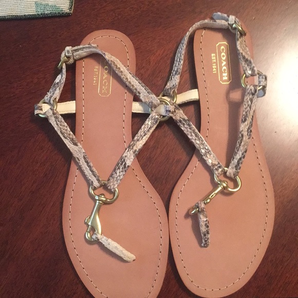 Coach 2 for 1 Sandals - Picture 2 of 6